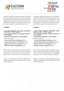 Reglamento salon vidrio-espanol-portugues Page 4