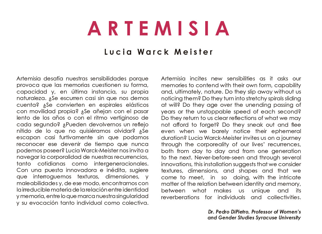 instalacion Artemisia de Lucia Warck Meister