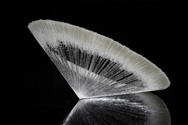 Chen Luoqi
Contemporary Glass
China