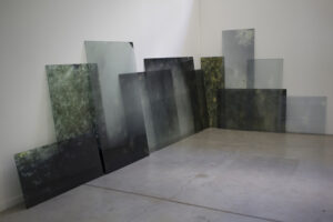 Carolina Magnin Instalaciones en vidrio y fotografía ofendículas