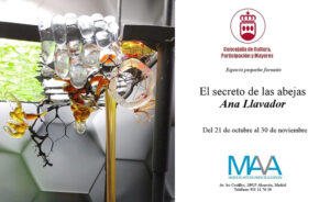 Expo de Ana Llavadors en el MAVA