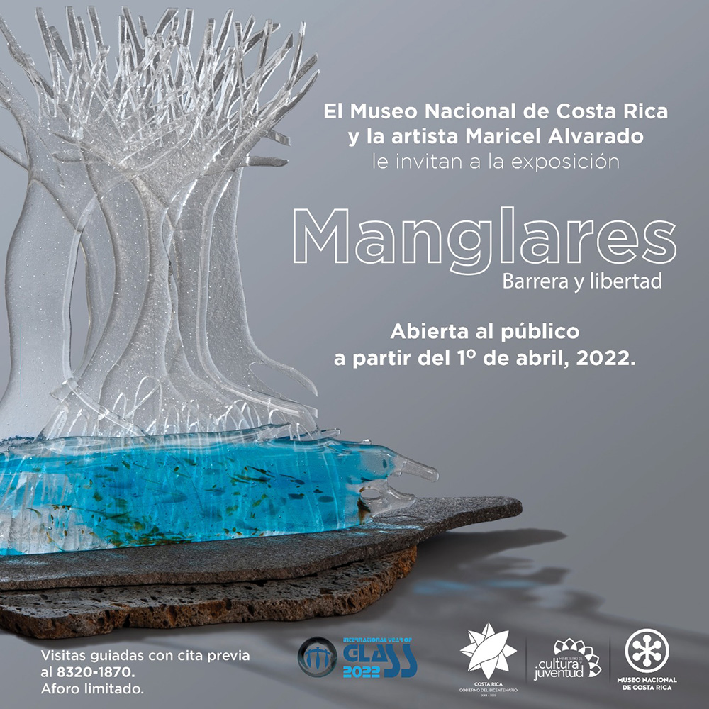 Exposición “Manglares: barrera y libertad” de Maricel Alvarado