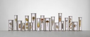 Steffen Dam Glass Artist Objetos con Vidrio 2022IYOG