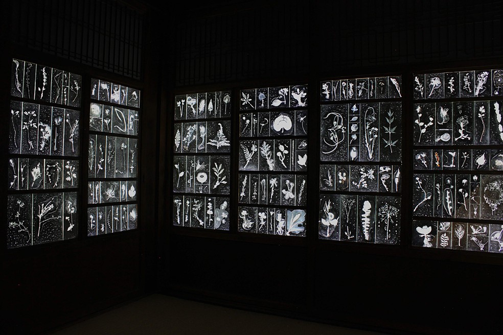 Rui Sasaki Glass Artist Objetos con Vidrio 2022IYOG