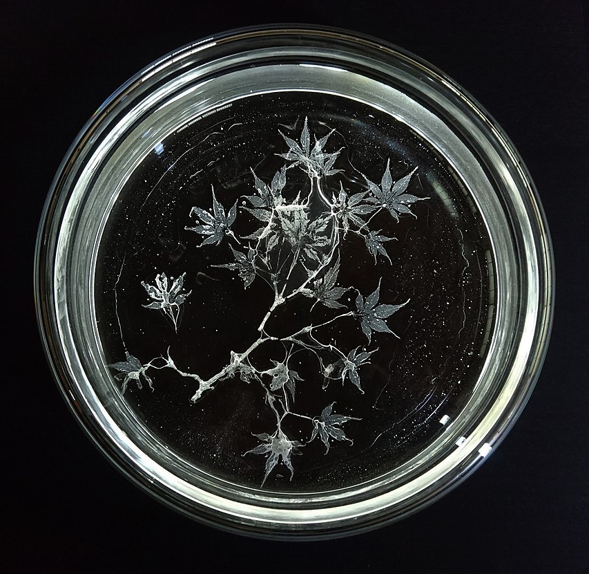 Rui Sasaki Glass Artist Objetos con Vidrio 2022IYOG