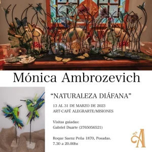 Monica Ambrozevich Vitrofusión Misiones - Argentina
