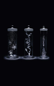 Mika Aoki Glass Artist Escultura en vidrio