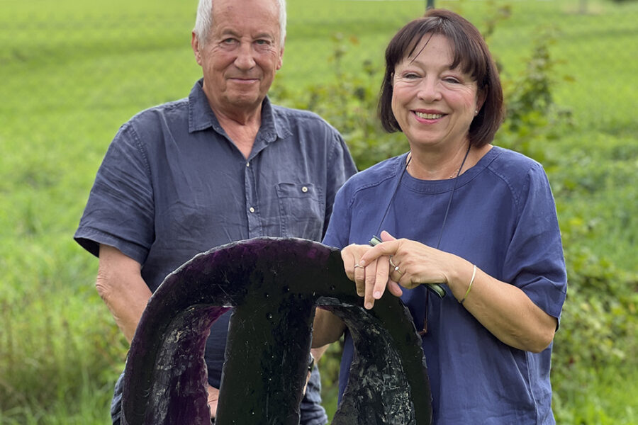 Stanislava Grebenícková y Milan Handl Glass Artist Escultura en Vidrio Crystal Valley República Checa