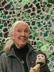 vidrio reciclado arte en vidrio dalle de verre Kitengela Hot Glass Jane Goodall homenaje artístico vitral contemporáneo vidrio sostenible escultura de vidrio arte y naturaleza reciclaje creativo arte público vidrio africano instalación artística Cultural Heritage Arusha diseño sostenible arte ecológico bosque de vidrio África Oriental