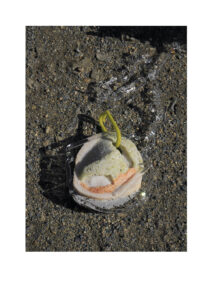 Salon du Verre Contemporain Paris14 Glass Art & Design Paris Objetos con Vidrio