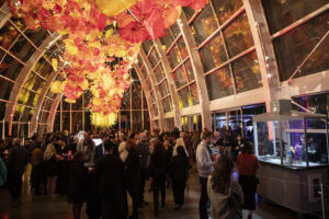 Refract: The Seattle Glass Experience Dale Chihuly