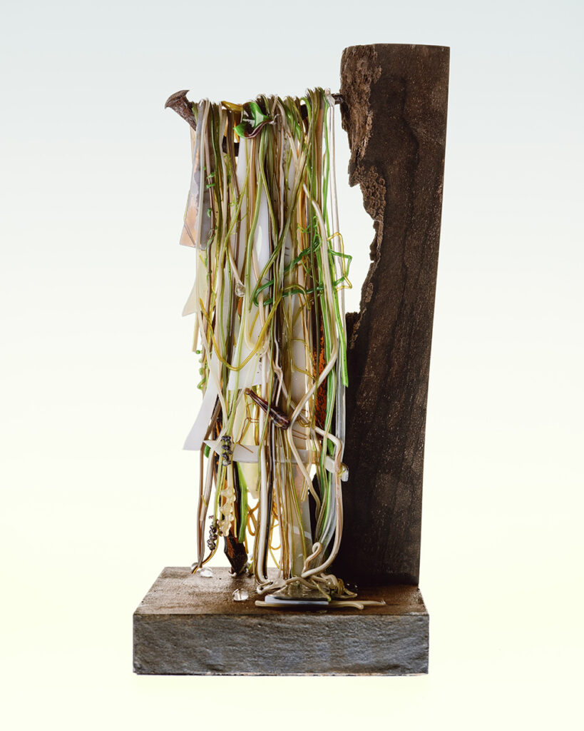 Susana Martin XIII Jornades Arts del Vidre 2025 – Escaldes-Engordany - Andorra