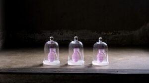 Silvia Levenson Fellowship Canberra GLASS Meeting Glass artist Objetos con Vidrio