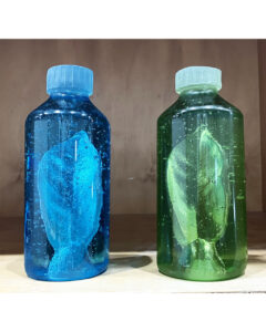 Silvia Levenson Fellowship Canberra GLASS Meeting Glass artist Objetos con Vidrio