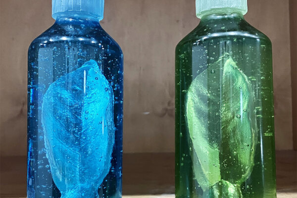 Silvia Levenson Fellowship Canberra GLASS Meeting Glass artist Objetos con Vidrio