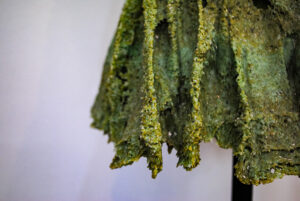 Expo Realidad Abstracta Andrea da Ponte Grupo de experimentación en vidrio Escultura en vidrio Glass art