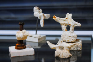 Expo Realidad Abstracta Andrea da Ponte Grupo de experimentación en vidrio Escultura en vidrio Glass art