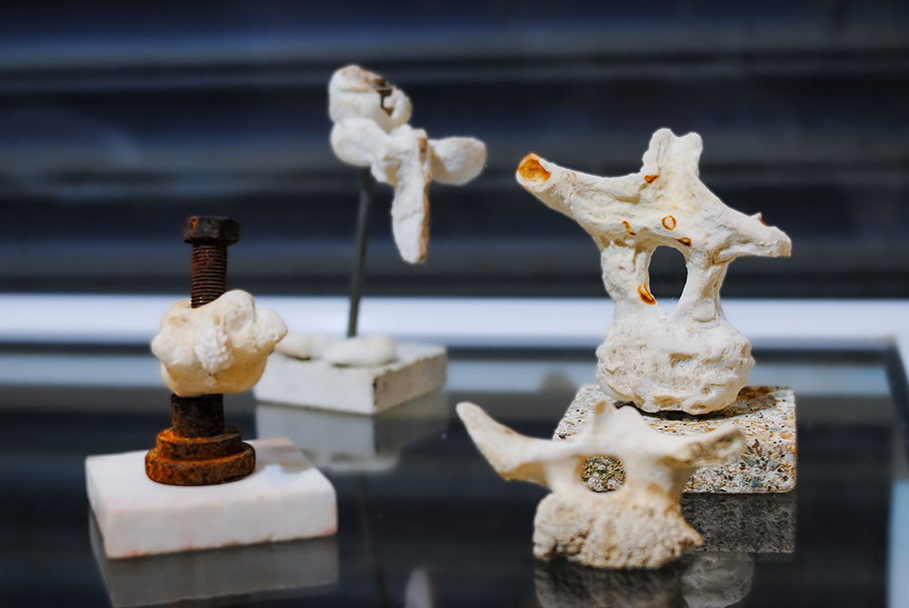 Expo Realidad Abstracta Andrea da Ponte Grupo de experimentación en vidrio Escultura en vidrio Glass art