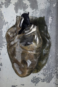 Anatomía de lo Inesperado, de Marisa Berrone: cinco estudios sobre la materia emocional Rosario, Santa Fé Arte en Vidrio Corazón de vidrio