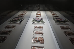 Mettre la tête où l’on pense, exposición de la artista canadiense Michèle Lapointe en el Museo de Arte en Vidrio de Alcorcón (MAVA). Instalación que combina vidrio artístico, fotografía y objetos para explorar la fragilidad humana a través de efectos ópticos y una puesta en escena inmersiva. Abierta hasta el 22 de febrero de 2026.