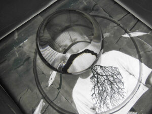 Mettre la tête où l’on pense, exposición de la artista canadiense Michèle Lapointe en el Museo de Arte en Vidrio de Alcorcón (MAVA). Instalación que combina vidrio artístico, fotografía y objetos para explorar la fragilidad humana a través de efectos ópticos y una puesta en escena inmersiva. Abierta hasta el 22 de febrero de 2026.