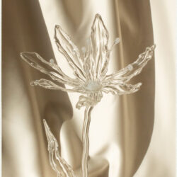 Anaïs Llop Nexon Petite A Studio Borosilicato GLASS Artist Open Studio Barcelona Objetos con Vidrio