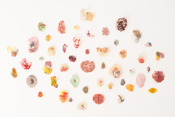 Silvina Lewin Vidrio contemporáneo en Argentina