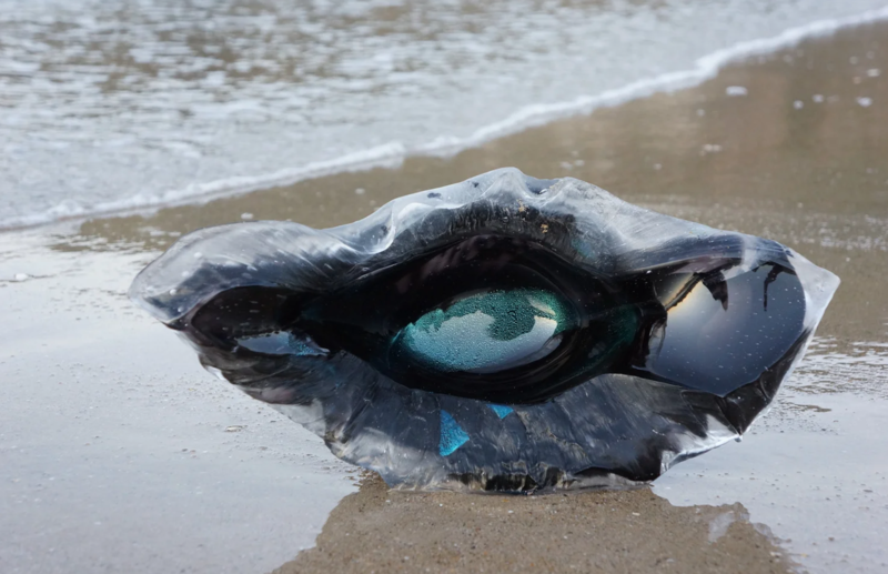 Chantal Royant GLASS Artist Objetos con Vidrio Escultura en vidrio Chantal Royant GLASS Artist Objetos con Vidrio Escultura en vidrio