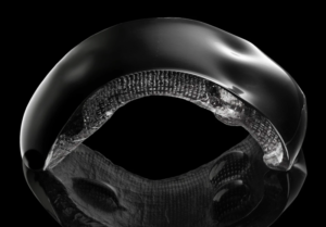 Chantal Royant GLASS Artist Objetos con Vidrio Escultura en vidrio