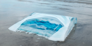 Chantal Royant GLASS Artist Objetos con Vidrio Escultura en vidrio