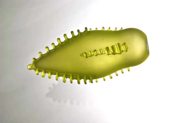 Jesse Paul Günther Objetos con Vidrio Glass Artist