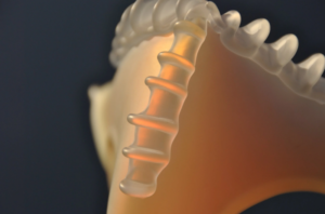 Jesse Paul Günther Objetos con Vidrio Glass Artist