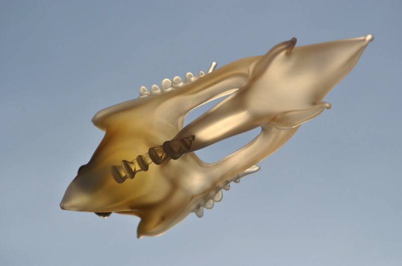 Jesse Paul Günther Objetos con Vidrio Glass Artist