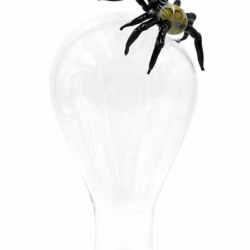 Sofía Plana VIDRE 24/7 GLASS Artist Open Studio Barcelona Borosilicato