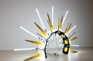 Leonardo Damonte Leonardo Damonte artista argentino vidrio en el arte contemporáneo escultura contemporánea arte con vidrio tubos fluorescentes en el arte instalaciones artísticas con luz escultura con vidrio arte contemporáneo argentino artistas que trabajan con vidrio