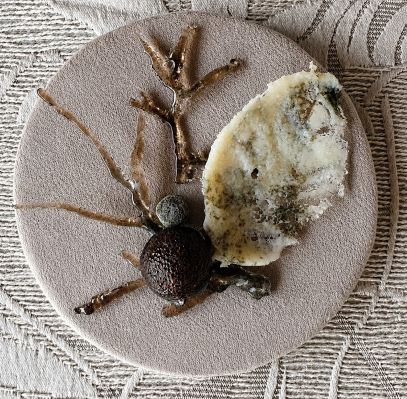 Ivanna Sola, vidrio contemporáneo, arte en vidrio, exposición de vidrio, vidrio artístico, fusing, arte argentino, Río Cuarto, naturaleza, biodiversidad, Objetos con Vidrio.