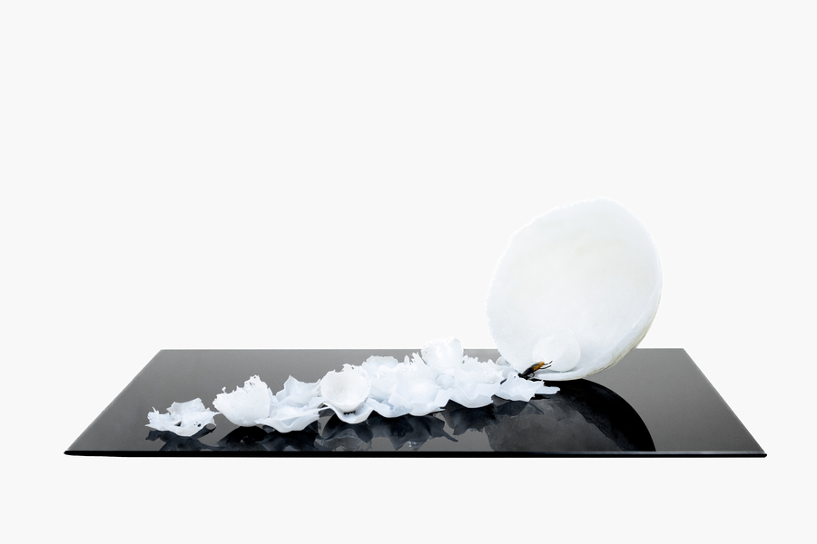 Lo que anida la memoria, vidrio contemporáneo, arte en vidrio, artistas del vidrio argentinos, Liliana Stolar vidrio.
