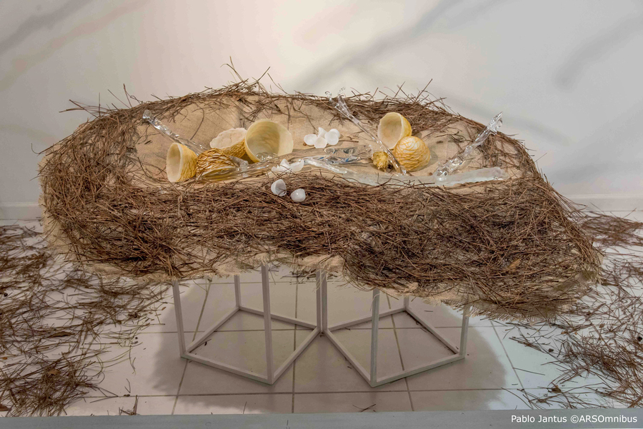 Lo que anida la memoria, vidrio contemporáneo, arte en vidrio, artistas del vidrio argentinos, Liliana Stolar vidrio.