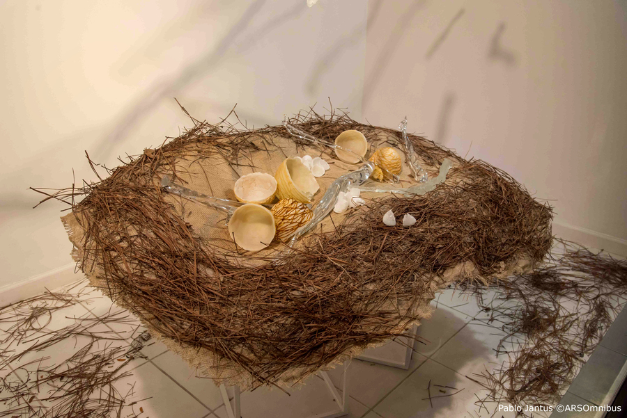 Lo que anida la memoria, vidrio contemporáneo, arte en vidrio, artistas del vidrio argentinos, Liliana Stolar vidrio.
