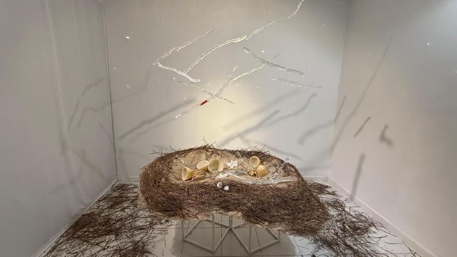 Lo que anida la memoria, vidrio contemporáneo, arte en vidrio, artistas del vidrio argentinos, Liliana Stolar vidrio.