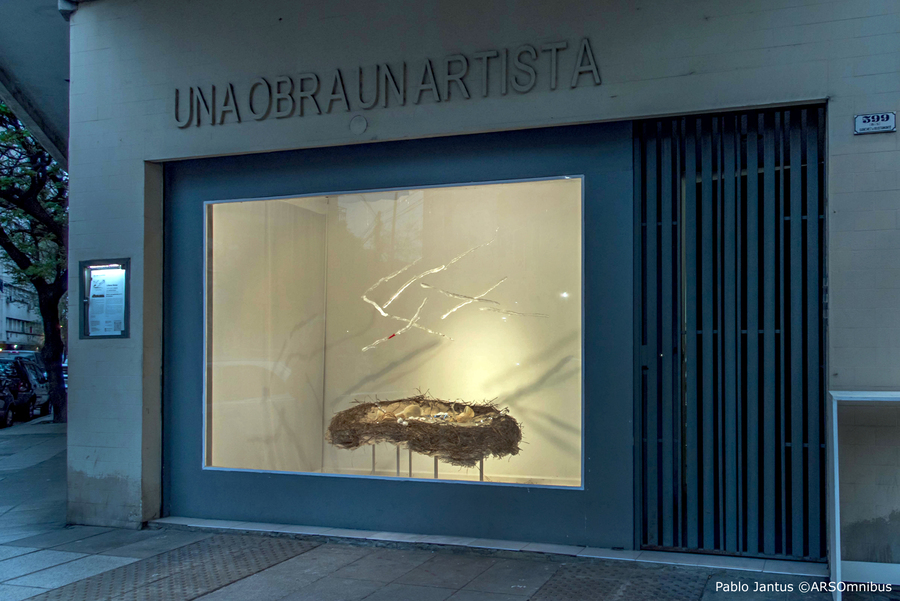 Lo que anida la memoria, vidrio contemporáneo, arte en vidrio, artistas del vidrio argentinos, Liliana Stolar vidrio.